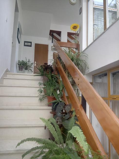 Apartmani Maretimo Primošten Dış mekan fotoğraf